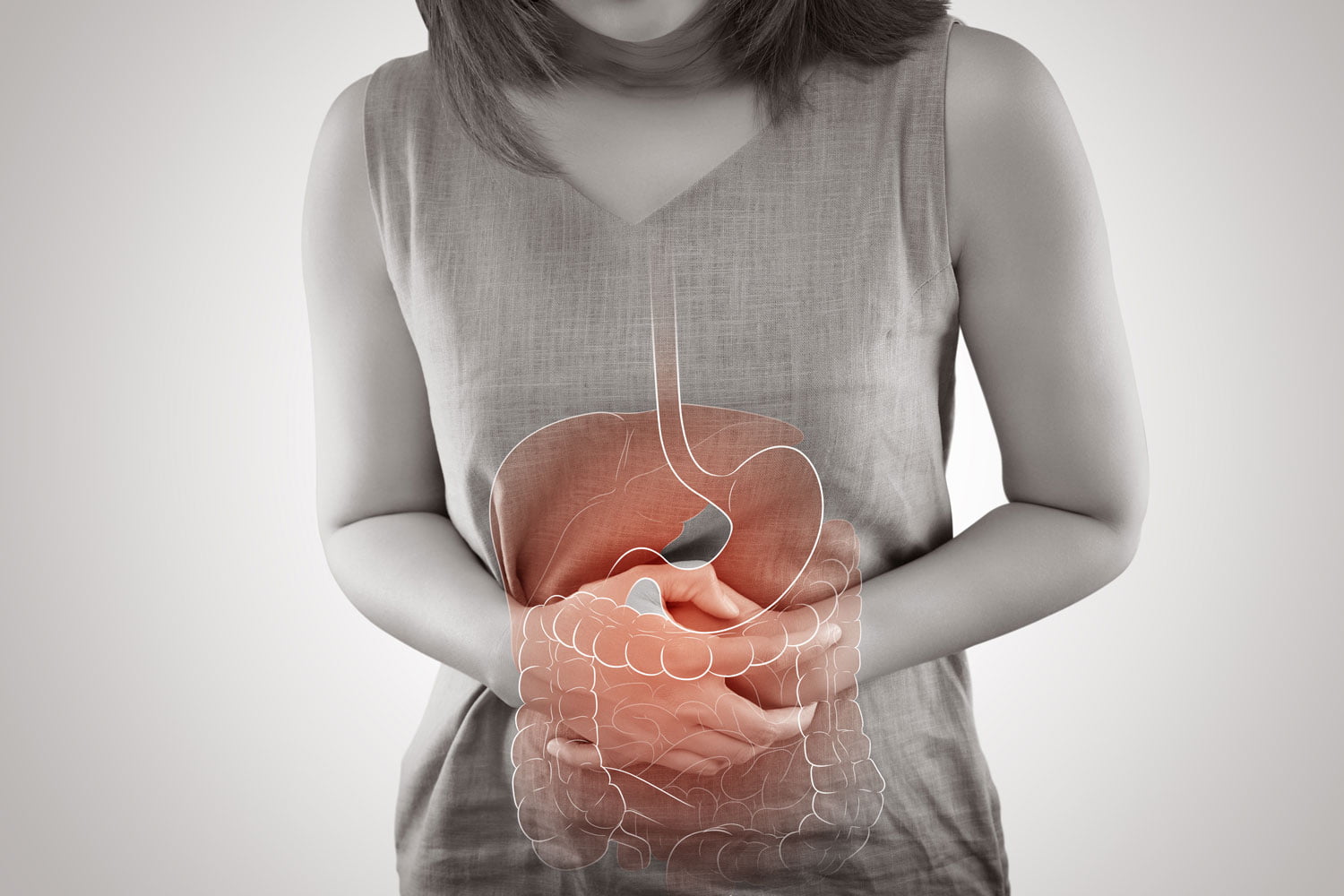 The-photo-of-internal-organs-is-on-the-women's-body-against-gray-background,-Viscera-on-Human-999030922_5472x3648
