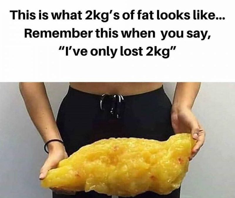 fat e1552612004413